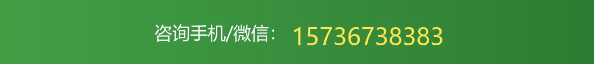 咨询手机/微信：15736738383